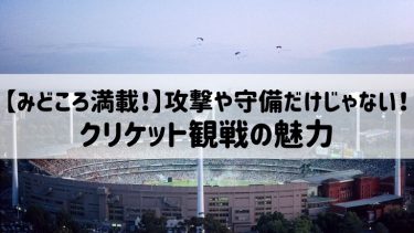 【みどころ満載！】攻撃や守備だけじゃない！クリケット観戦の魅力