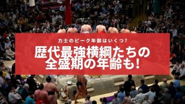力士のピーク年齢はいくつなのか?歴代最強横綱たちの全盛期は?