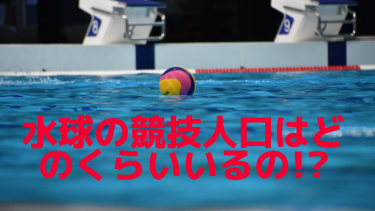 日本の水球の競技人口はどのくらい?人気がない原因やメリットは何か