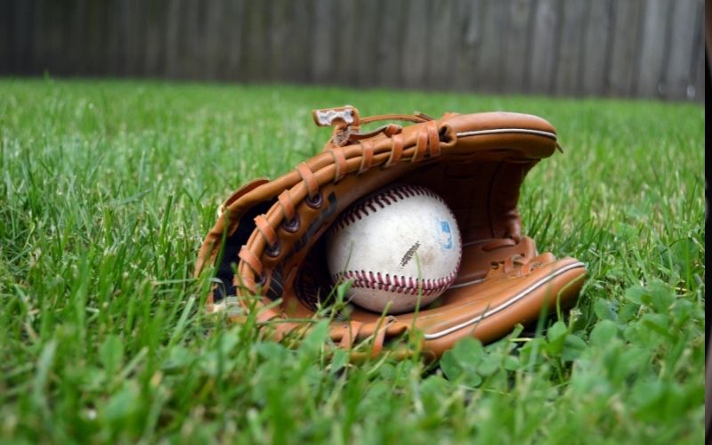 グローブの種類は